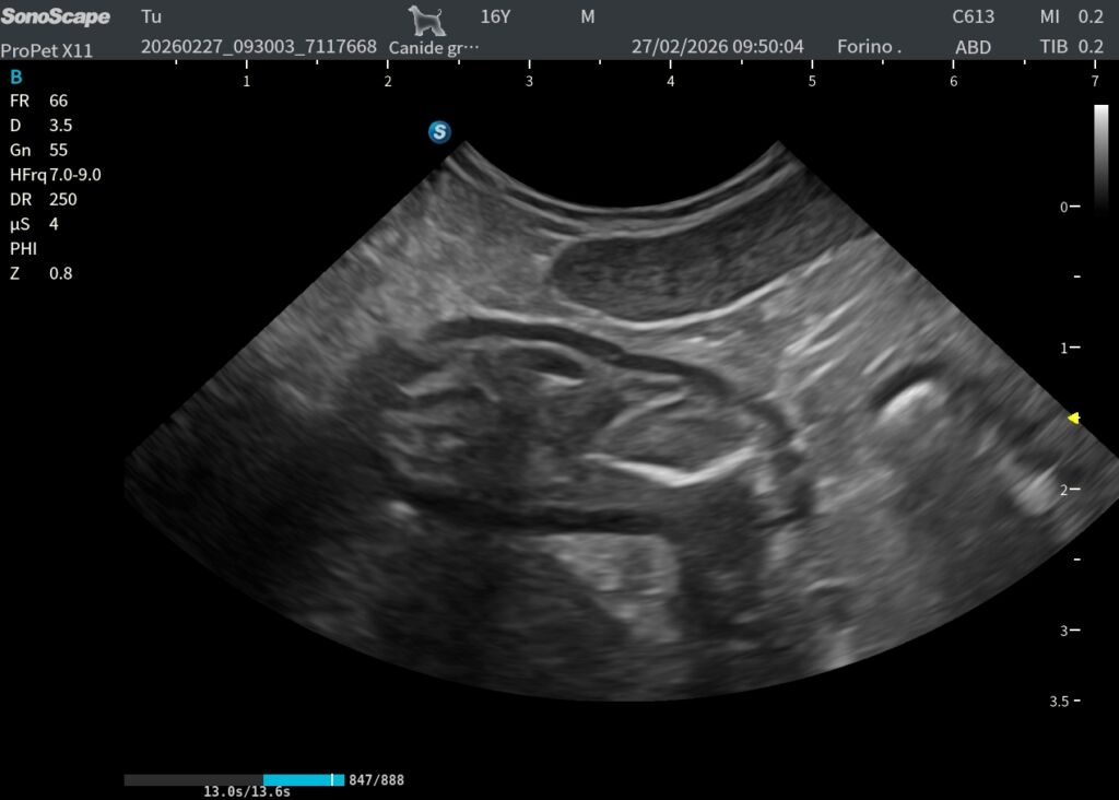 20260227 095005 ABD 12