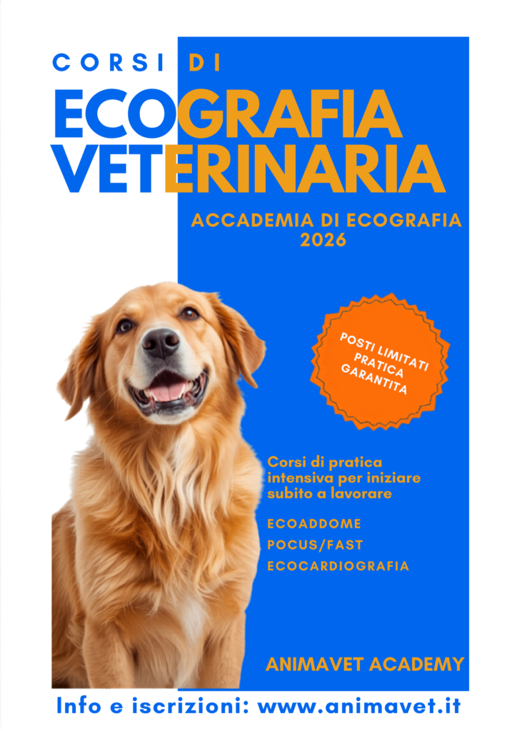 Ecografia Veterinaria 2026 Promotional Poster 1