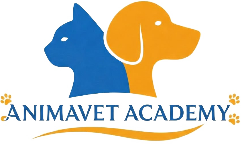 Animavet Academy